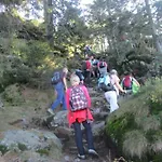 Ederer Feriehus Waldmünchen