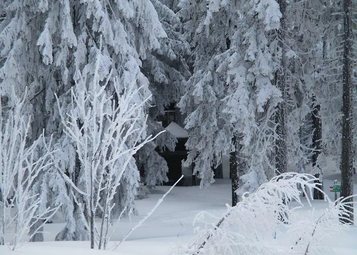 Ederer Waldmünchen