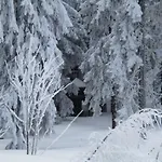 Ederer Waldmünchen