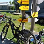 Ederer *