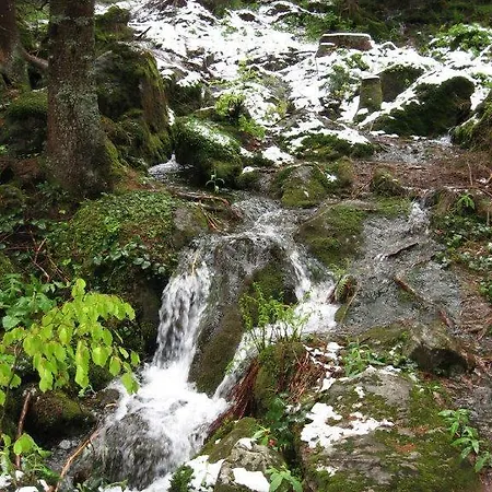 Casa de Férias Ederer *