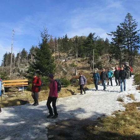 Ederer Waldmünchen