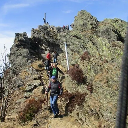Ederer * Waldmünchen