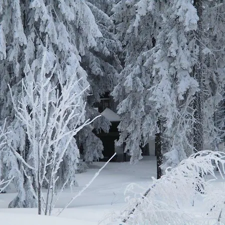 Ederer Waldmuenchen
