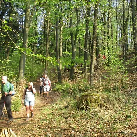 펜션 Ederer 발드문첸